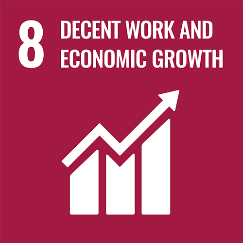 Goals 8:Promote sustained, inclusive and sustainable economic growth, full and productive employment and decent work for all