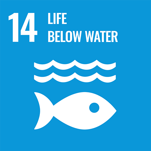 Goals 14:Conserve and sustainably use the oceans, seas and marine resources for sustainable development
